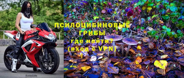 PSILOCYBIN Верхний Тагил