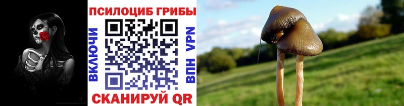 Псилоцибиновые грибы ЛСД  OMG сайт  Дегтярск 